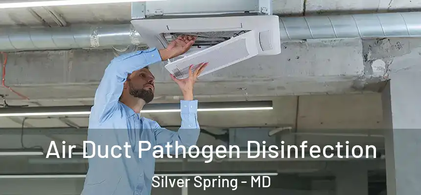  Air Duct Pathogen Disinfection Silver Spring - MD