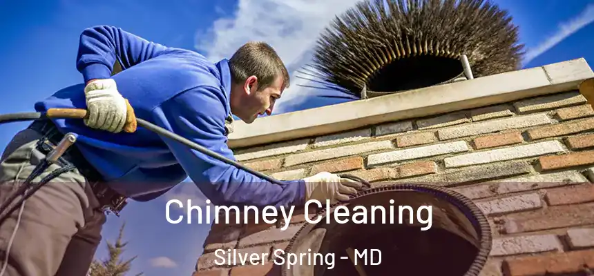  Chimney Cleaning Silver Spring - MD