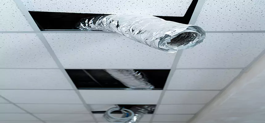 Affordable HVAC Sanitizing After Pest Removal in Silver Spring