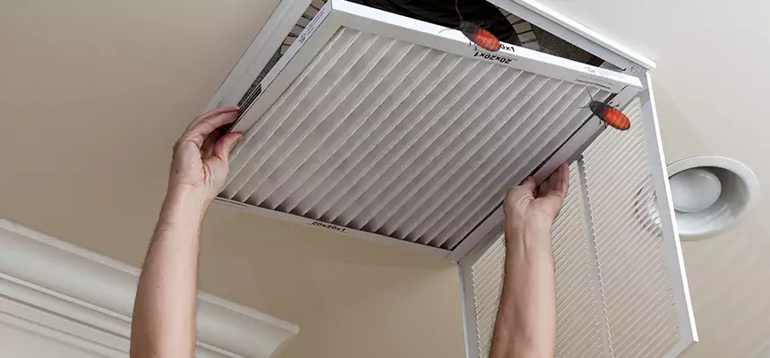 Our Insect Removal from Air Ducts Services in Silver Spring, MD