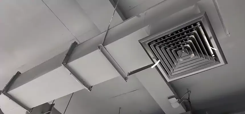 Our Pest Removal From Ducts Services in Silver Spring, MD