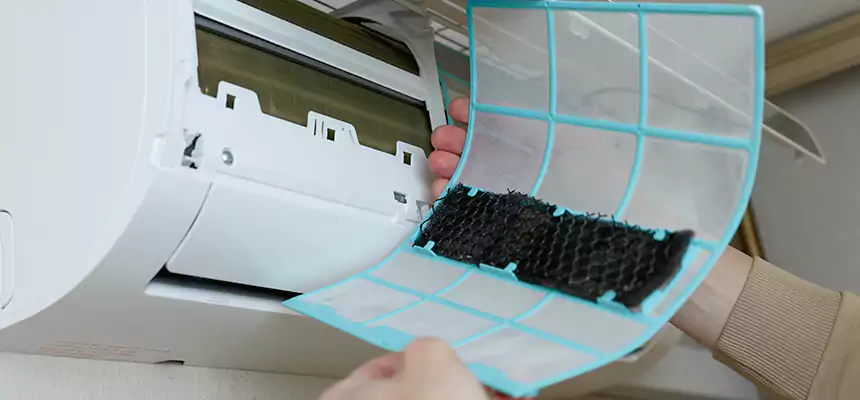 Gentle Ductwork Odor-Control Pet Dander Duct Cleaning in Silver Spring, MD