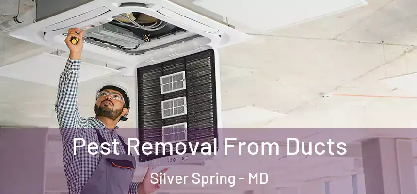  Pest Removal From Ducts Silver Spring - MD