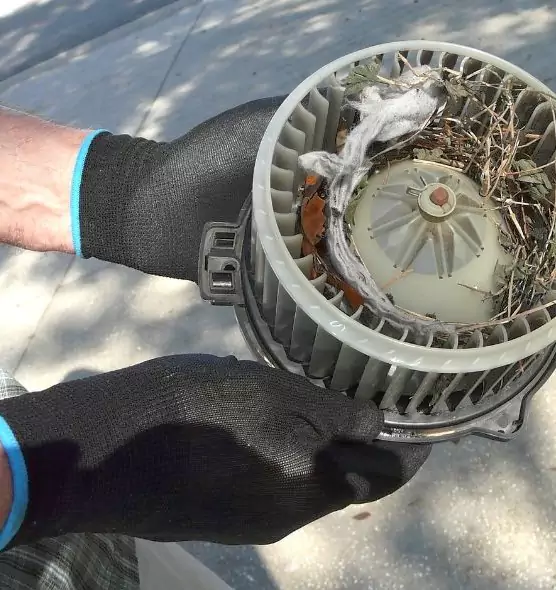 About Air Duct Mice Removal in Silver Spring, MD