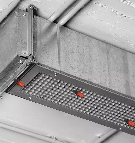 Affordable Insect Removal from Air Ducts in Silver Spring, MD