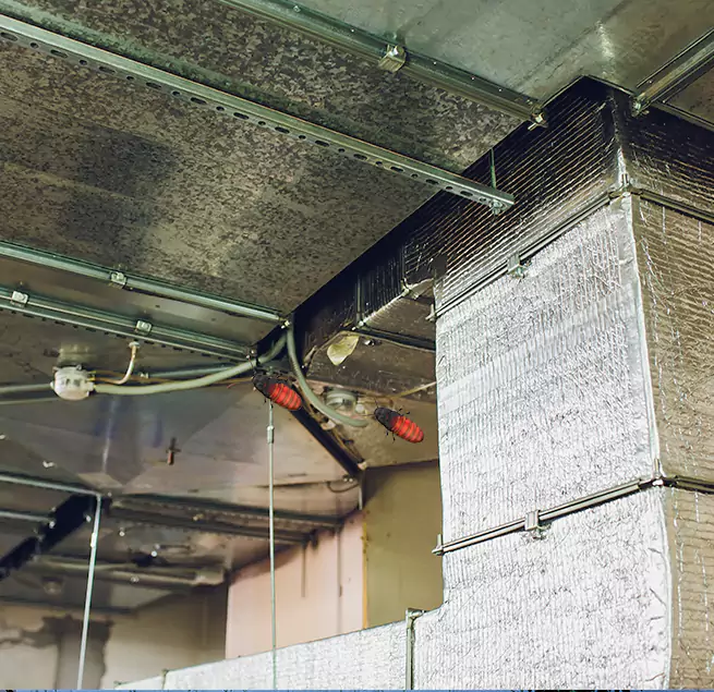 Why Homeowners & Businesses Trust Us in Silver Spring, MD?