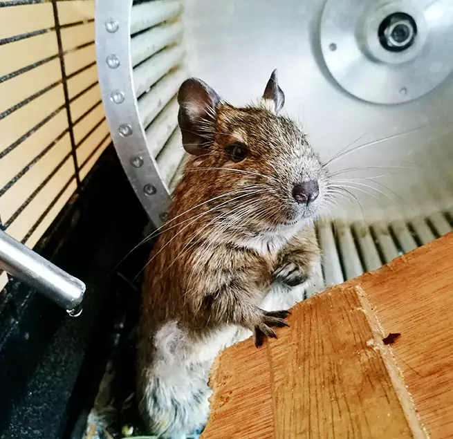 Why Homeowners & Businesses Trust Us Silver Spring, MD