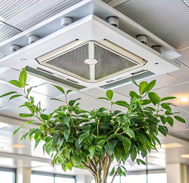 Why Homeowners & Businesses Trust Us in Silver Spring, MD