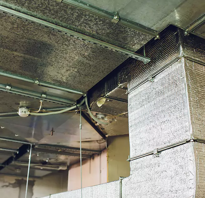 Why Homeowners & Businesses Trust Us in Silver Spring, MD?